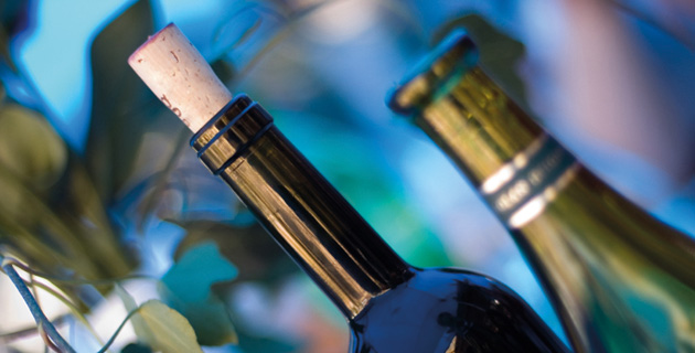 Großes Fest – aber welchen Wein servieren?