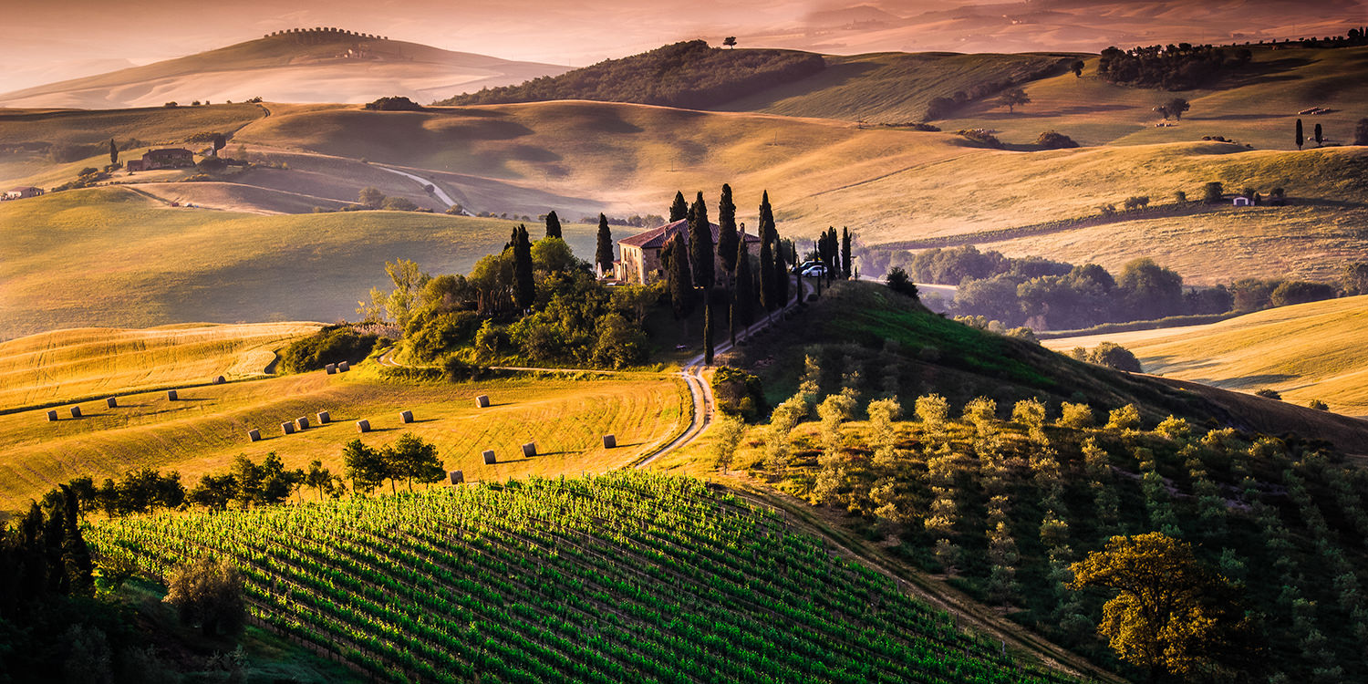 Italien – Die drei spannendsten Weinregionen