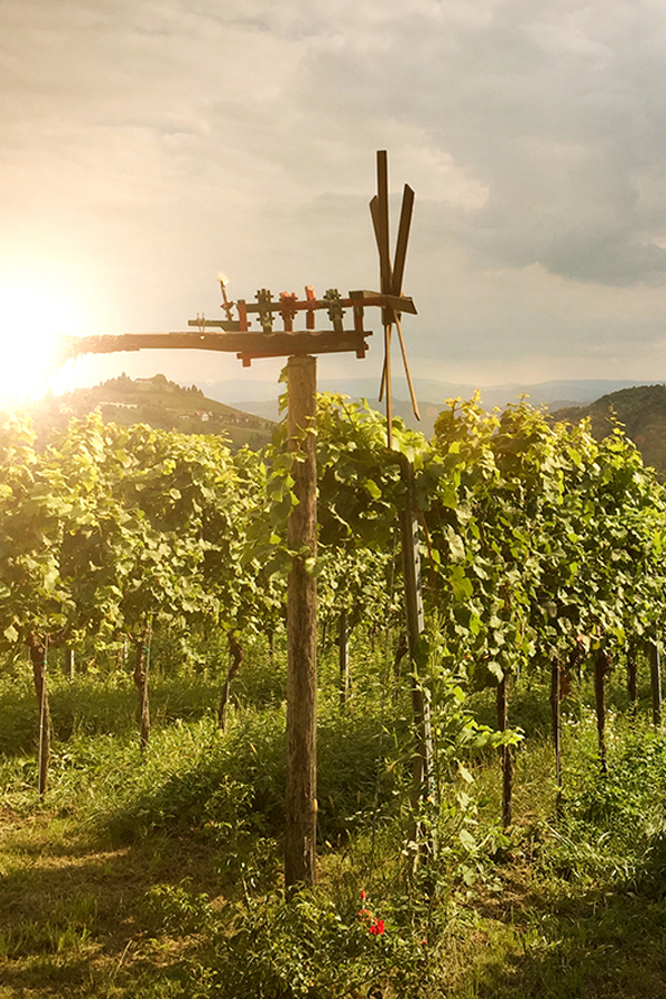 Weinberge in der Steiermark: Hier entsteht inzwischen Wein von hoher Qualität