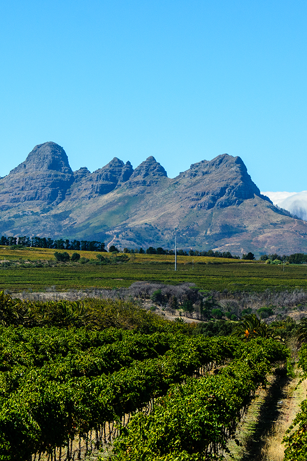 Die Region Stellenbosch in Südafrika
