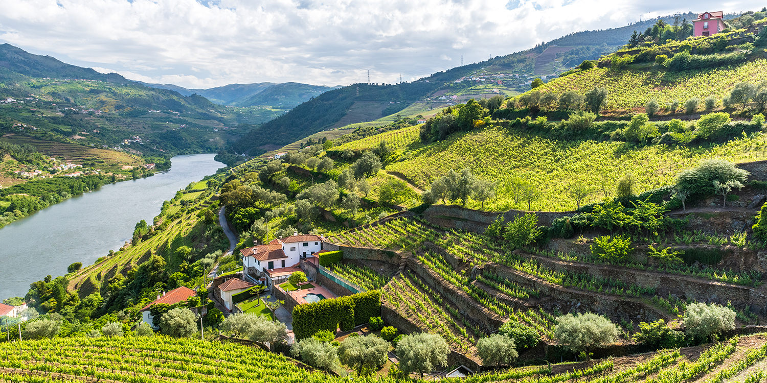 <thrive_headline click tho-post-99441 tho-test-26>Weinregionen die Sie in Portugal kennen sollten</thrive_headline>