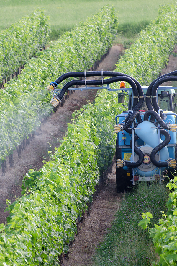 Pestizide: Negativ für die Öko-Bilanz