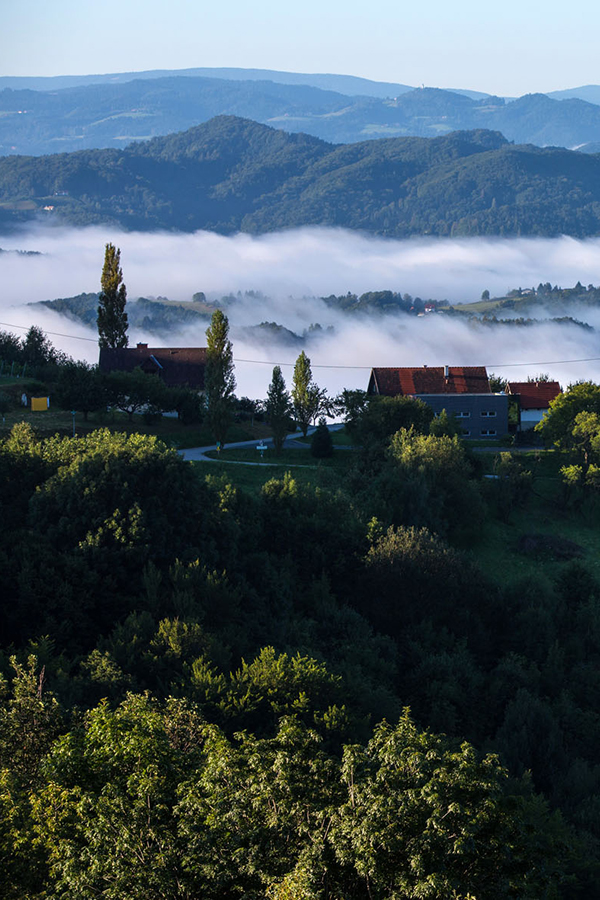  Die steirische Landschaft versunken im Nebel 