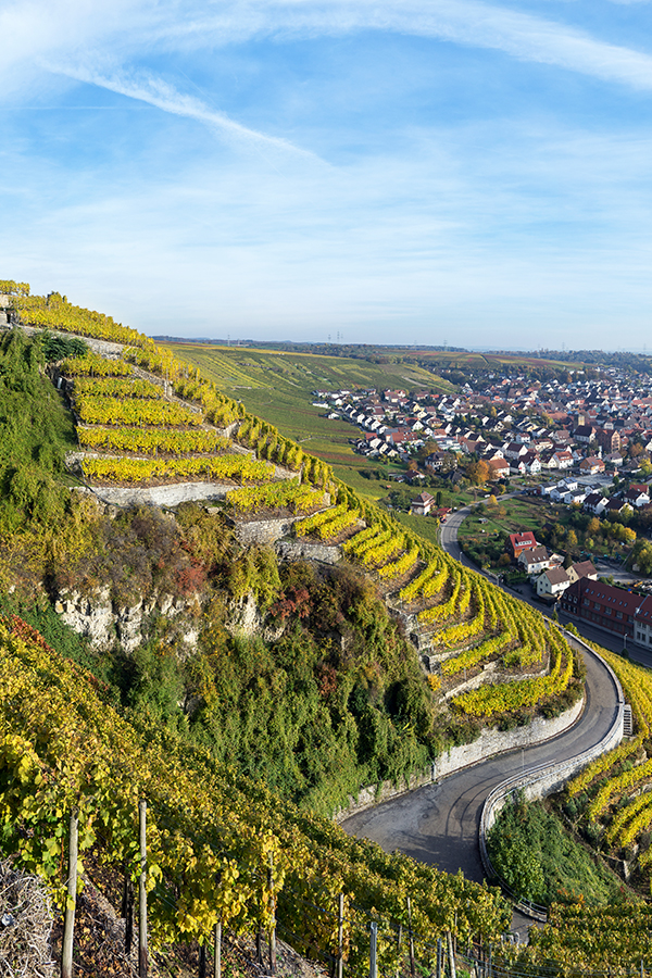 Steillagenweinbau in Baden-Württemberg