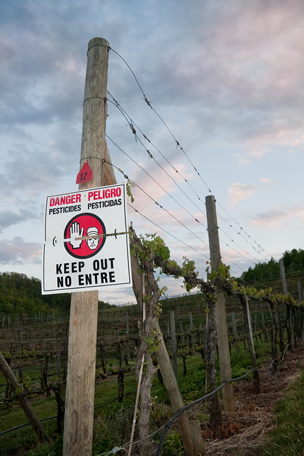 Die DOC Prosecco wird künftig auf Glyphosate im Weinbau verzichten