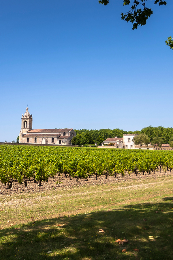 Das Bordeaux - seit Jahrhunderten Herkunftsort erlesener Weine. 